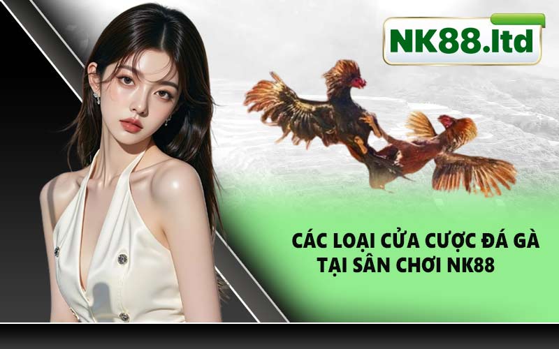 Các loại cửa cược đá gà tại sân chơi NK88