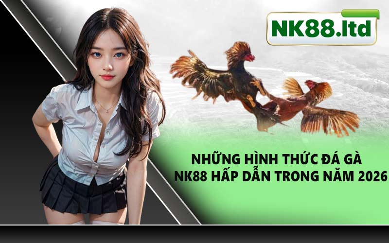 Những hình thức đá gà NK88 hấp dẫn trong năm 2026