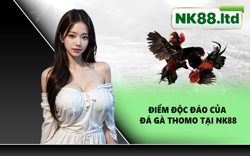 Điểm độc đáo của đá gà Thomo tại NK88