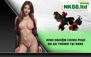 Kinh nghiệm chinh phục đá gà Thomo tại NK88