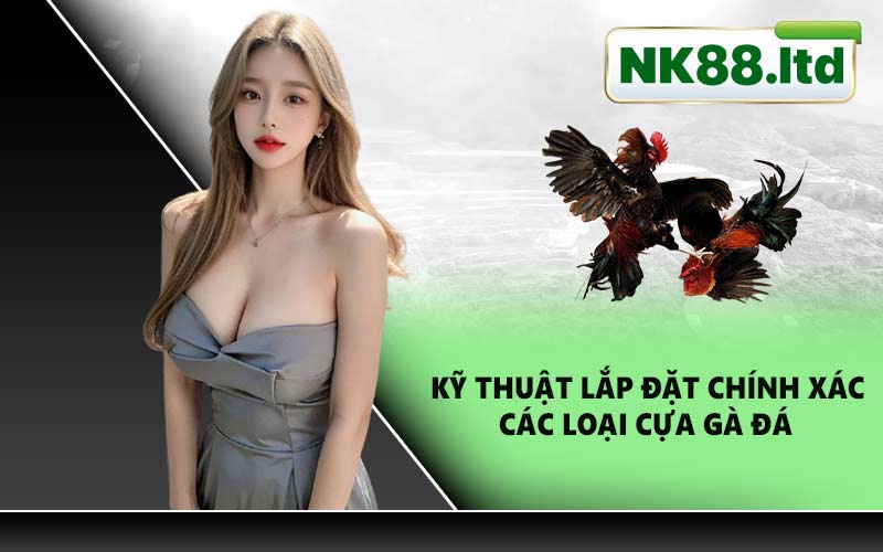 Kỹ thuật lắp đặt chính xác các loại cựa gà đá
