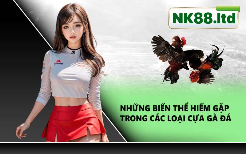 Những biến thể hiếm gặp trong các loại cựa gà đá