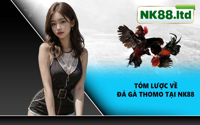 Tóm lược về đá gà Thomo tại NK88